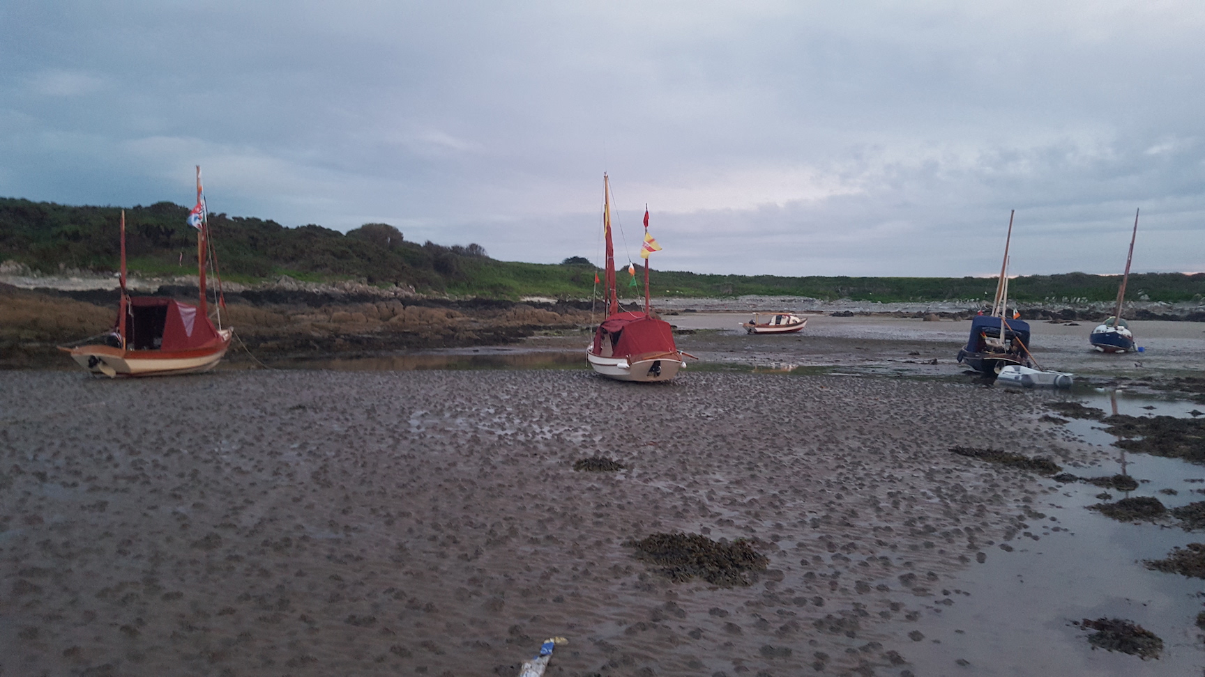 Who took the plug out ?